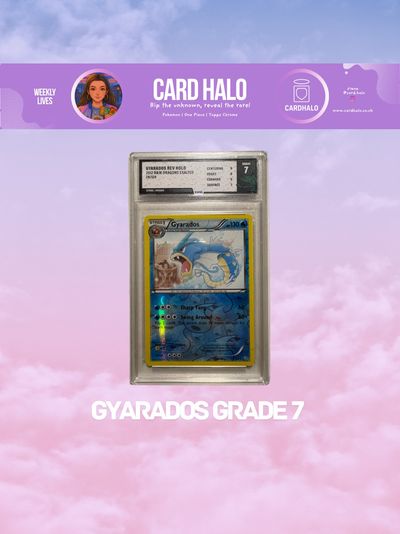Gyarados - Dragons Exalted - Grade 7 - TFG
